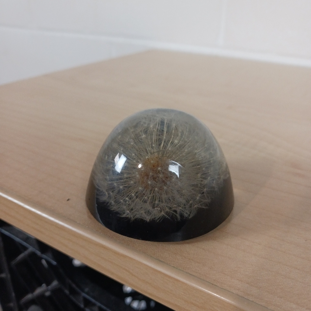 Vintage Resin Acrylic Lucite Encased Dandelion Seed Paperweight Decor‎